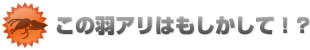 この羽アリはもしかして!?